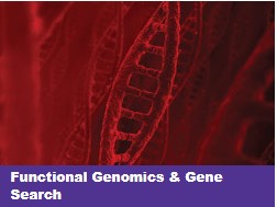 Functional Genomics & Gene Search